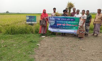 Climate resilient farming method being promoted in Barind area